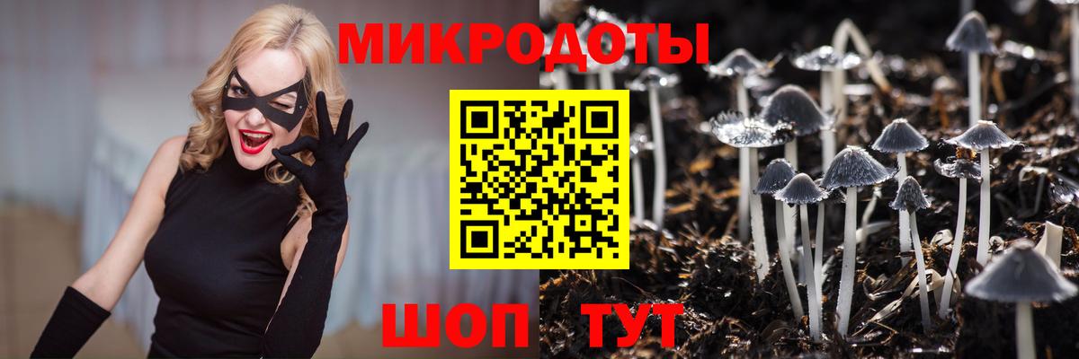 Галлюциногенные грибы мицелий  Вход с VPN  Шелехов 